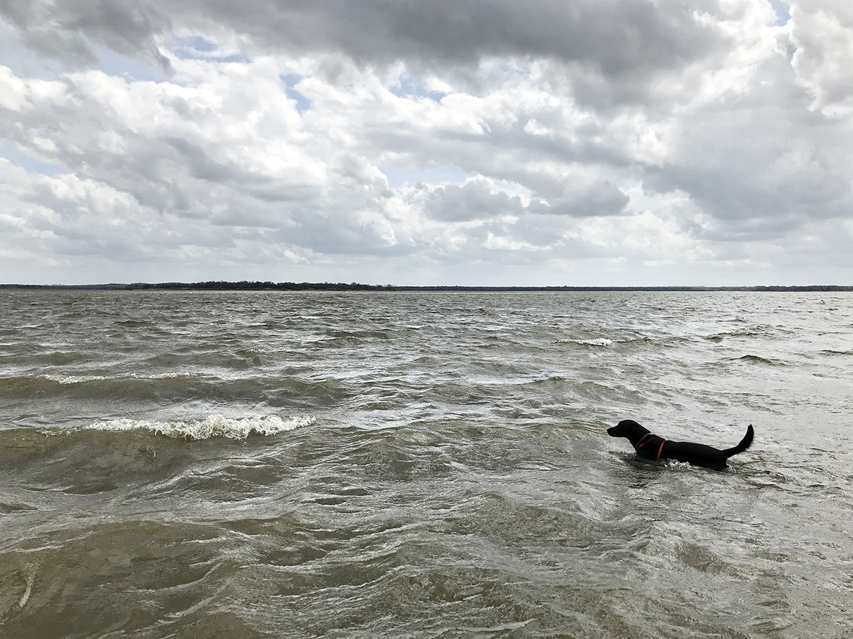 Lake Somerville Texas Water Level: Real-Time Data, Historical Trends ...